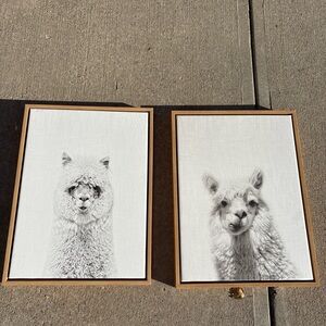 Alpaca Art Print Set in Black and White